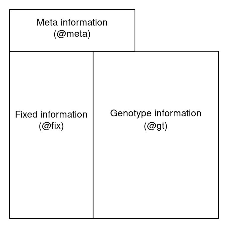 Cartoon representation of VCF file organization